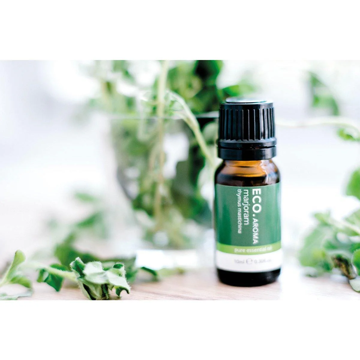ECO. Modern Essentials Essential Oil Majoram Spanish 10ml - Image 2