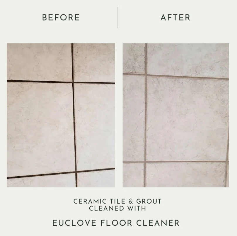 Euclove Natural Floor Cleaner - Image 4