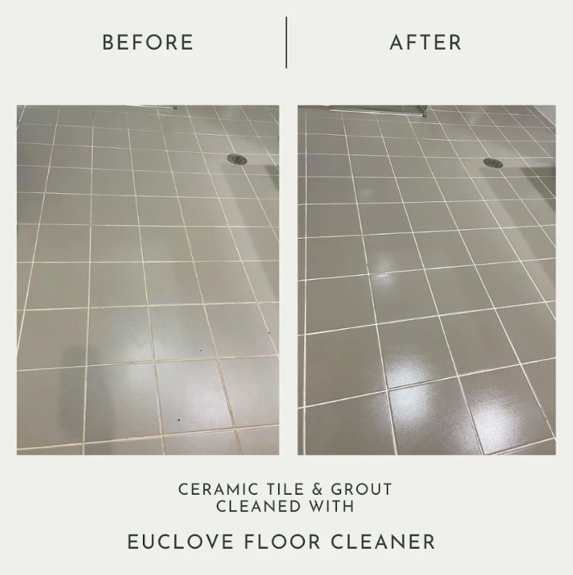 Euclove Natural Floor Cleaner - Image 5