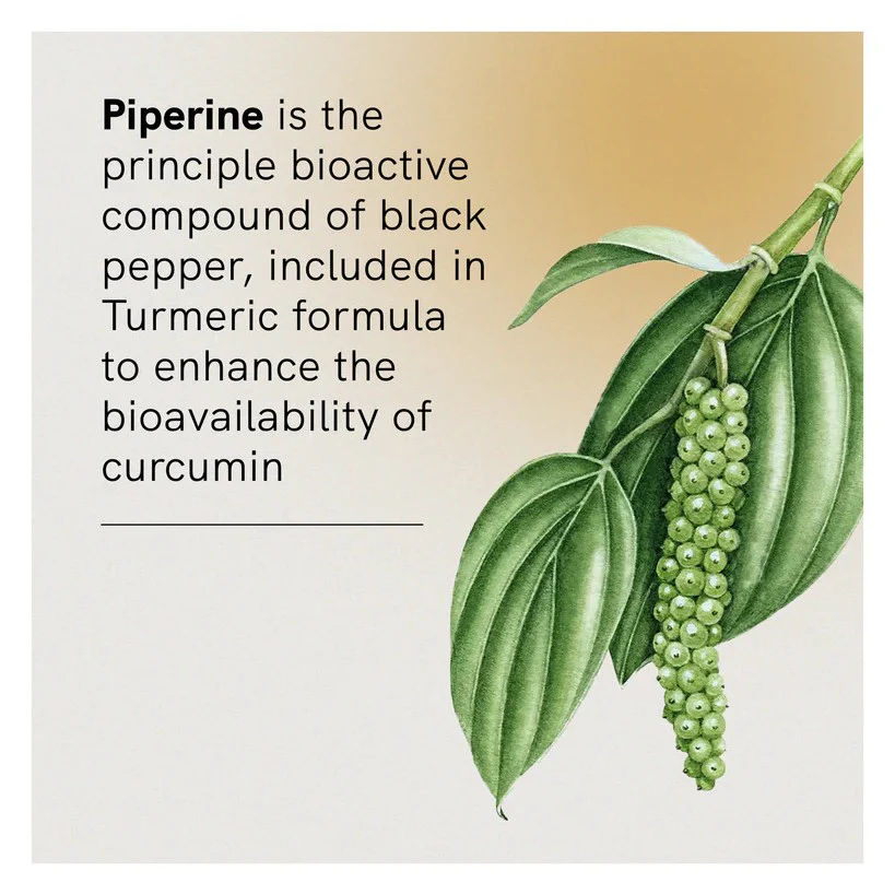 Fusion Health Turmeric - Image 4