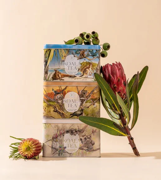 Koala Tea Tin Tea Blend Mixed of 25 Tea Bags - Image 9