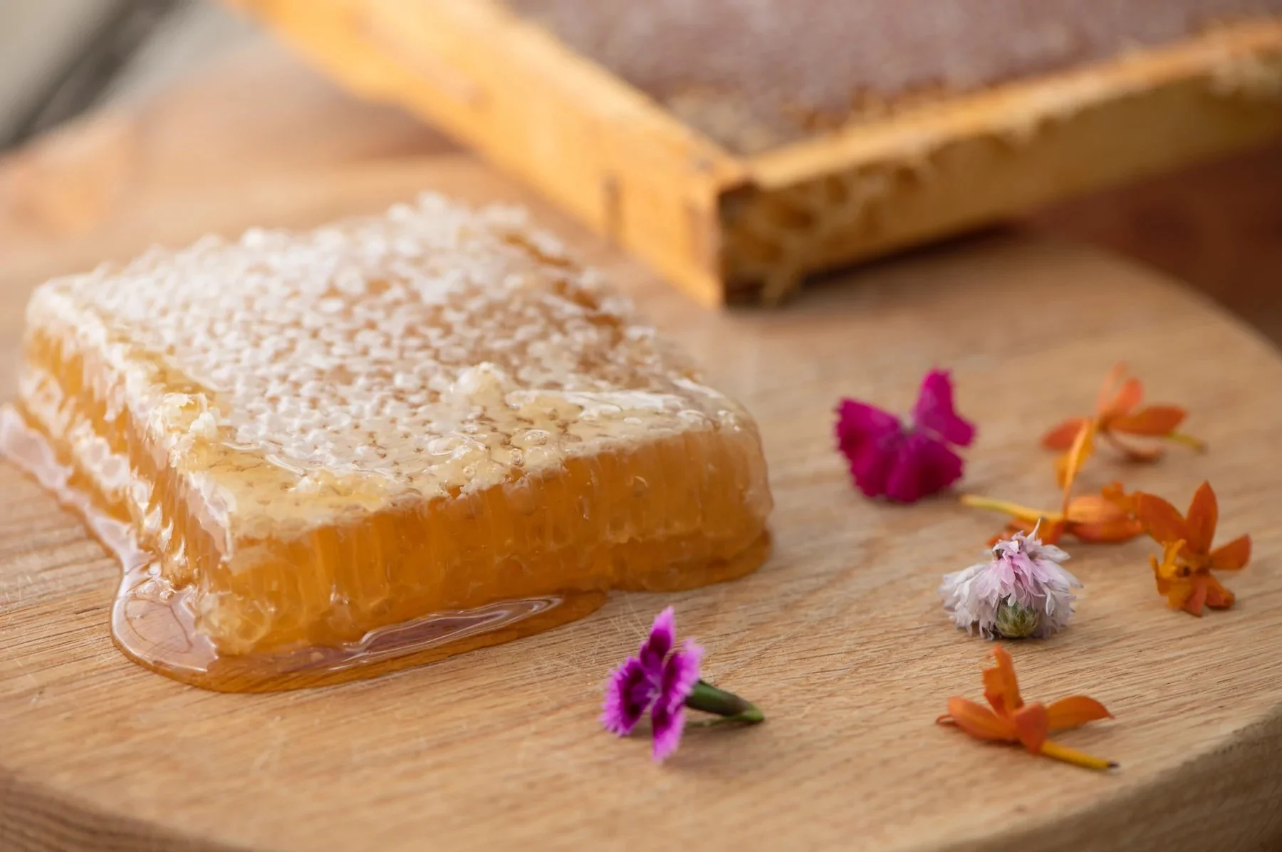 Natural Life Honeycomb 400g - Image 4