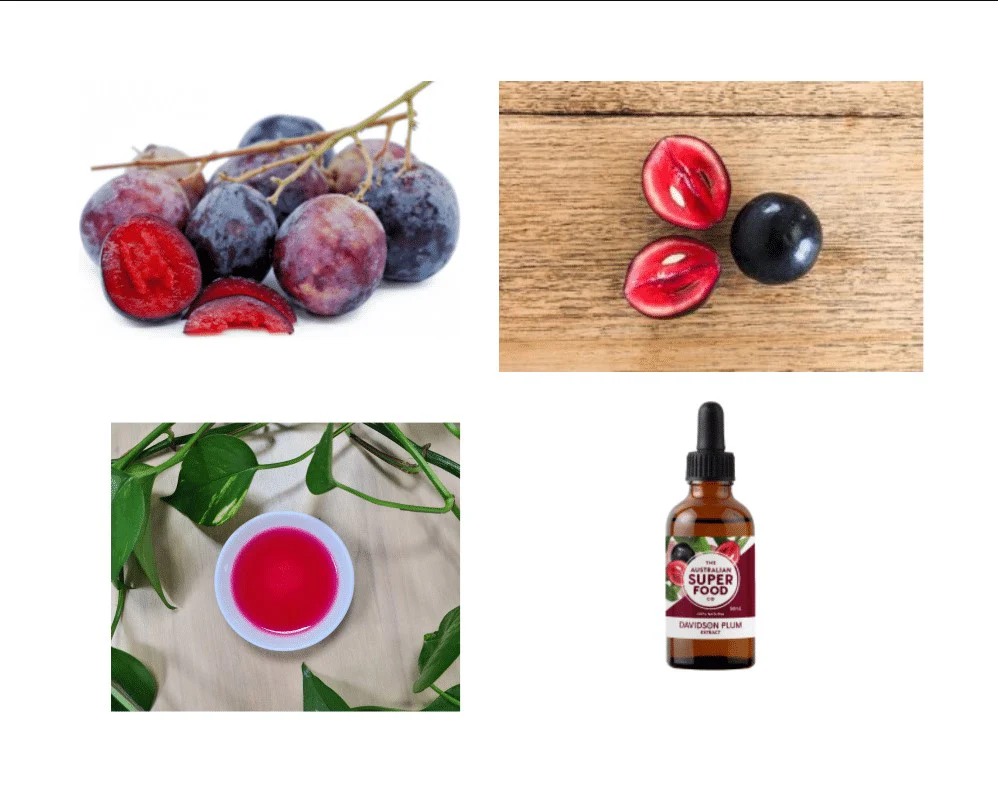 The Australian Superfood Co Davidson Plum Extract 1:2 50ml - Image 3