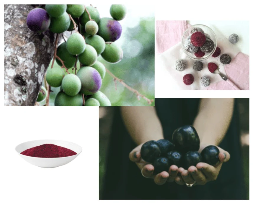 The Australian Superfood Co Freeze Dried Davidson Plum - Image 5